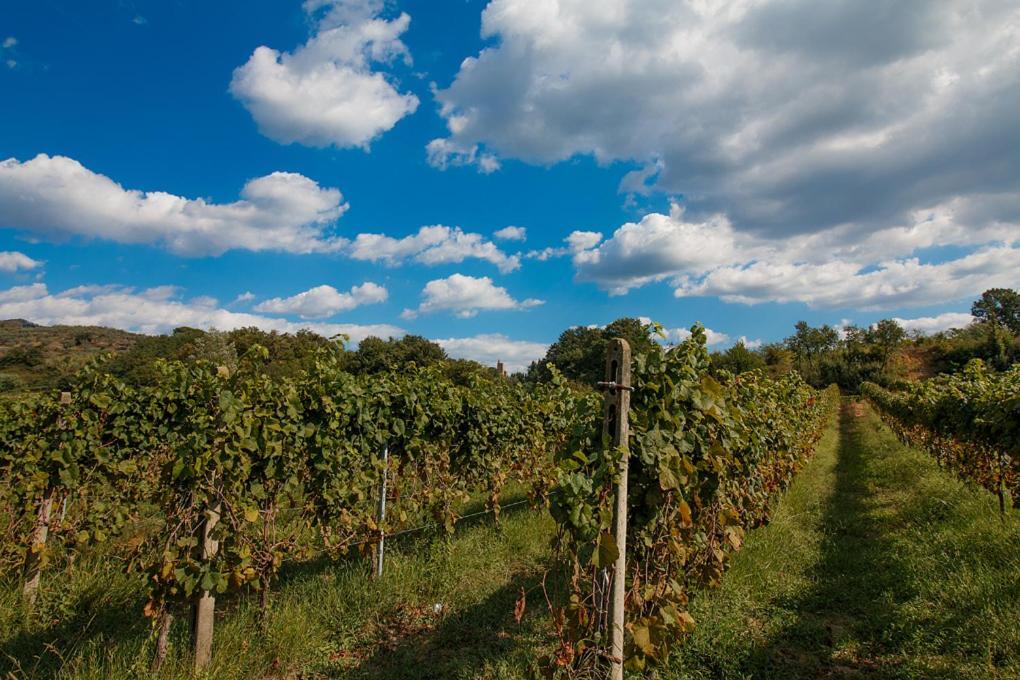 مبيت وإفطار فينشي Agriturismo Terre Di Leonardo المظهر الخارجي الصورة