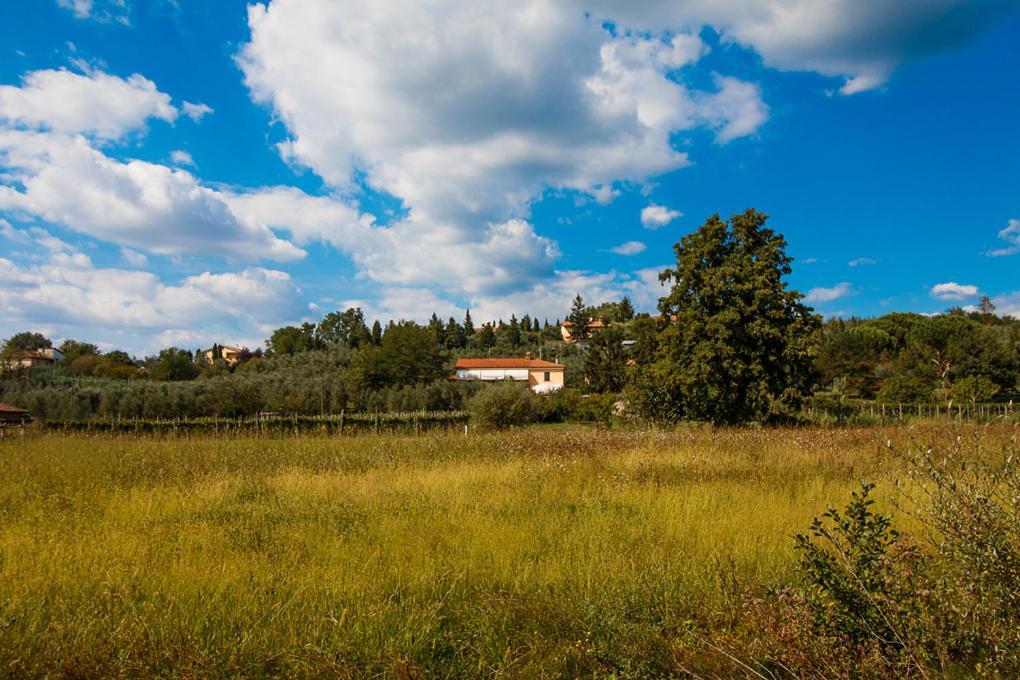 مبيت وإفطار فينشي Agriturismo Terre Di Leonardo المظهر الخارجي الصورة