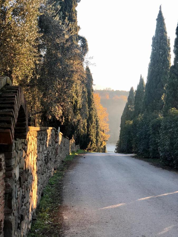 مبيت وإفطار فينشي Agriturismo Terre Di Leonardo المظهر الخارجي الصورة