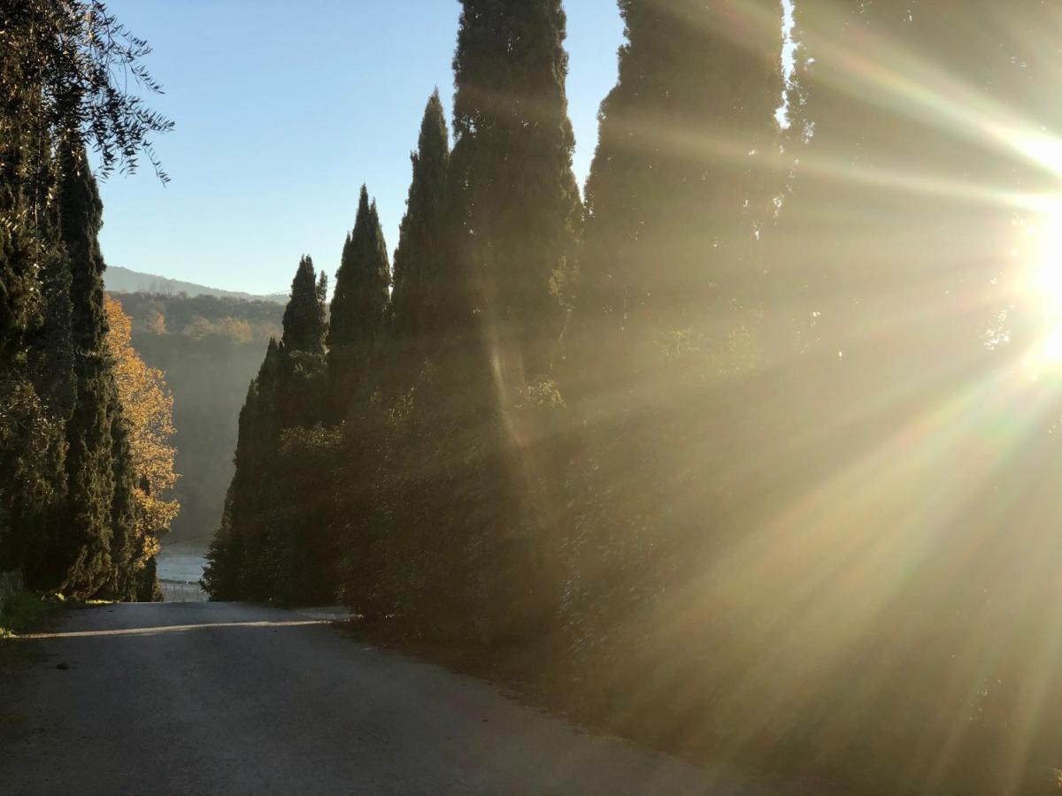 مبيت وإفطار فينشي Agriturismo Terre Di Leonardo المظهر الخارجي الصورة